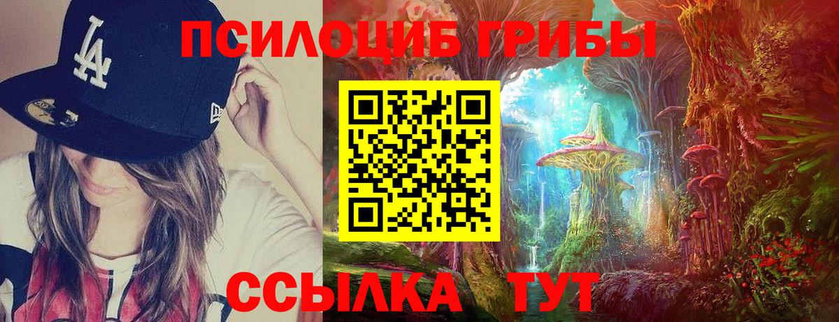 Псилоцибиновые грибы MAGIC MUSHROOMS  Вход с VPN  Троицк 